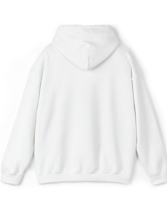 Large Raccoon Embroidered Unisex Hoodie